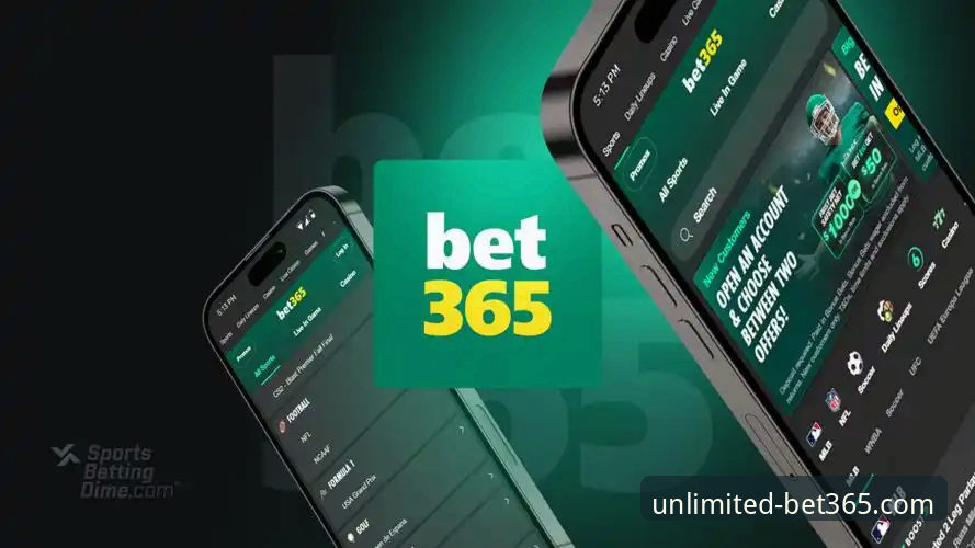 Bet365手机版下载 vs 网页版：哪个更适合你的投注需求？