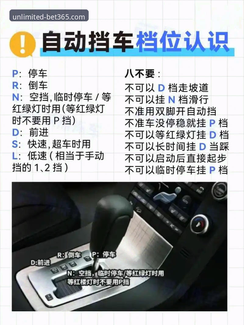 5个新手必知要点：Bet365投注平台评测与高效使用指南